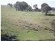 Ophir Road, Orange NSW 2800
