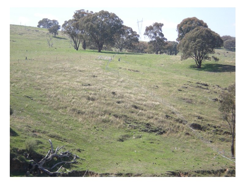 Ophir Road, Orange NSW 2800