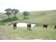 Ophir Road, Orange NSW 2800