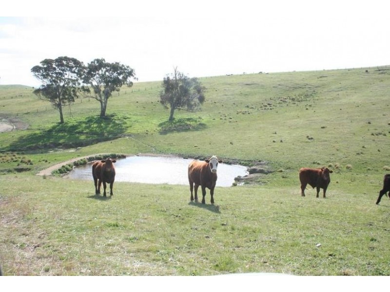 Ophir Road, Orange NSW 2800