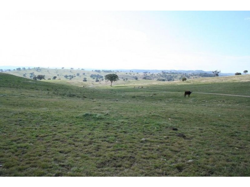 Ophir Road, Orange NSW 2800