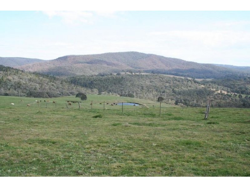 Ophir Road, Orange NSW 2800