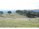 Ophir Road, Orange NSW 2800