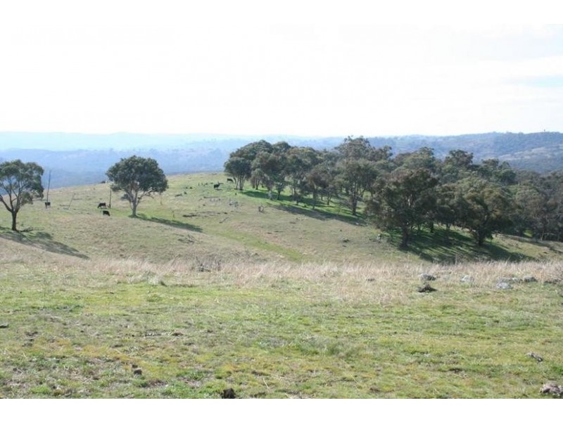 Ophir Road, Orange NSW 2800