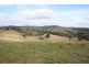 Ophir Road, Orange NSW 2800