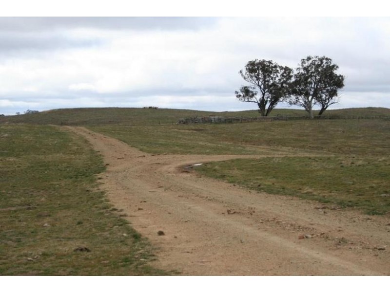 Ophir Road, Orange NSW 2800