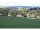 Neville Road, Blayney NSW 2799