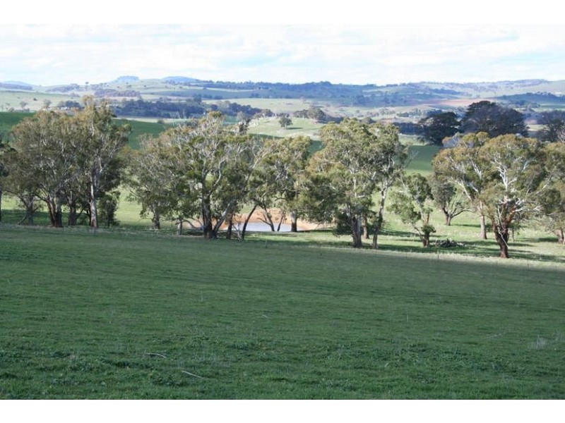 Neville Road, Blayney NSW 2799