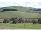 Neville Road, Blayney NSW 2799