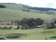 Neville Road, Blayney NSW 2799
