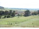 Neville Road, Blayney NSW 2799
