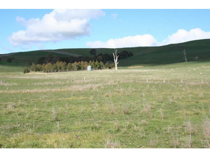 Neville Road, Blayney NSW 2799