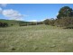 Neville Road, Blayney NSW 2799