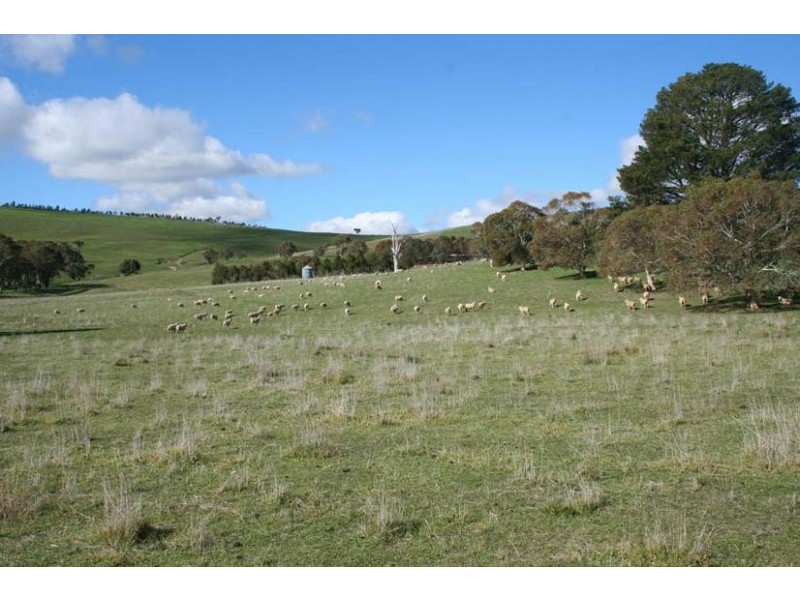 Neville Road, Blayney NSW 2799