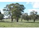 Neville Road, Blayney NSW 2799