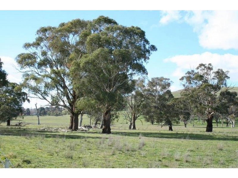 Neville Road, Blayney NSW 2799