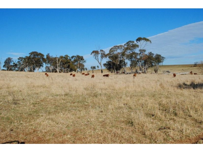 Lot 3 & 4,  Mitchell Highway, Orange NSW 2800