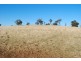 Lot 3 & 4,  Mitchell Highway, Orange NSW 2800