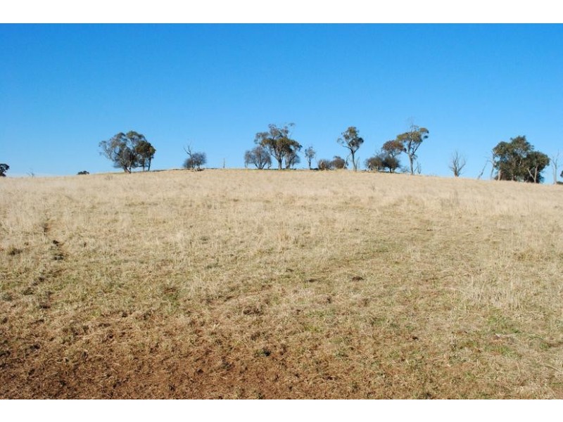Lot 3 & 4,  Mitchell Highway, Orange NSW 2800
