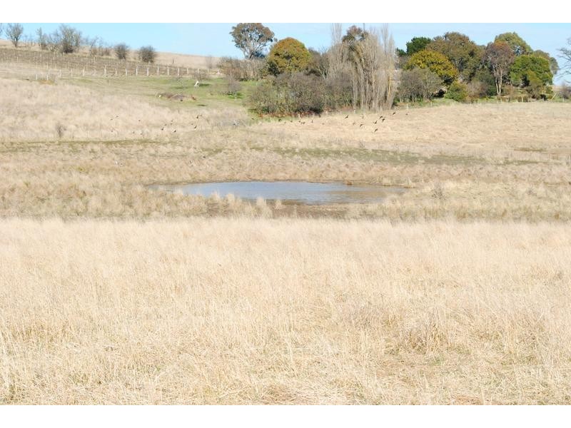 Lot 3 & 4,  Mitchell Highway, Orange NSW 2800