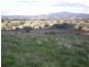 Griffin Road, Orange NSW 2800