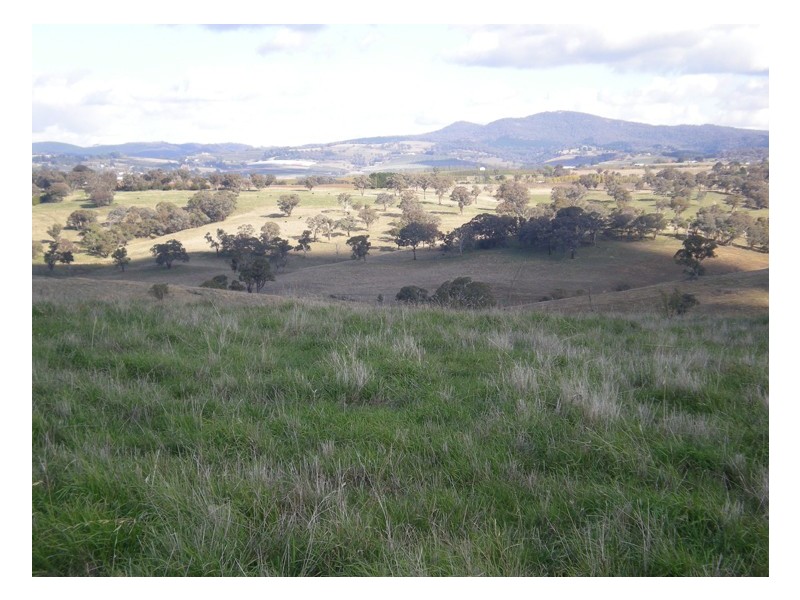 Griffin Road, Orange NSW 2800