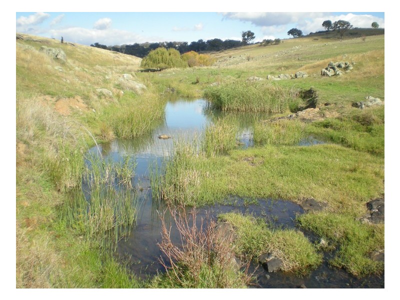 Griffin Road, Orange NSW 2800