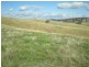 Griffin Road, Orange NSW 2800