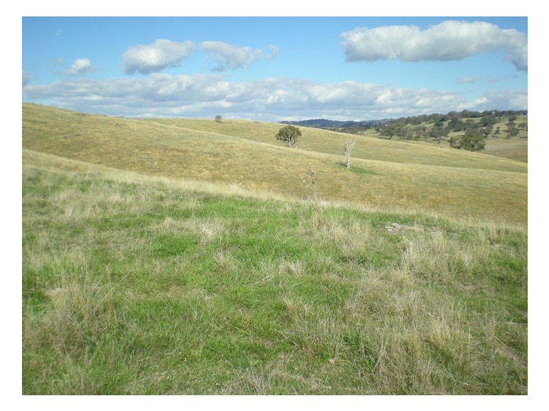 Griffin Road, Orange NSW 2800