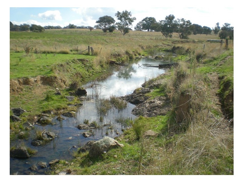 - Griffin Road, Orange NSW 2800