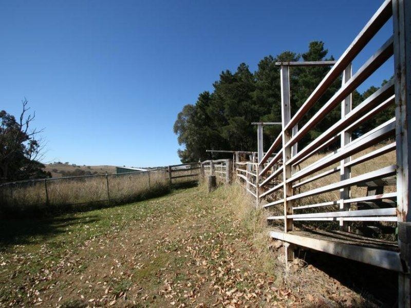 229 Convent Lane, Borenore NSW 2800