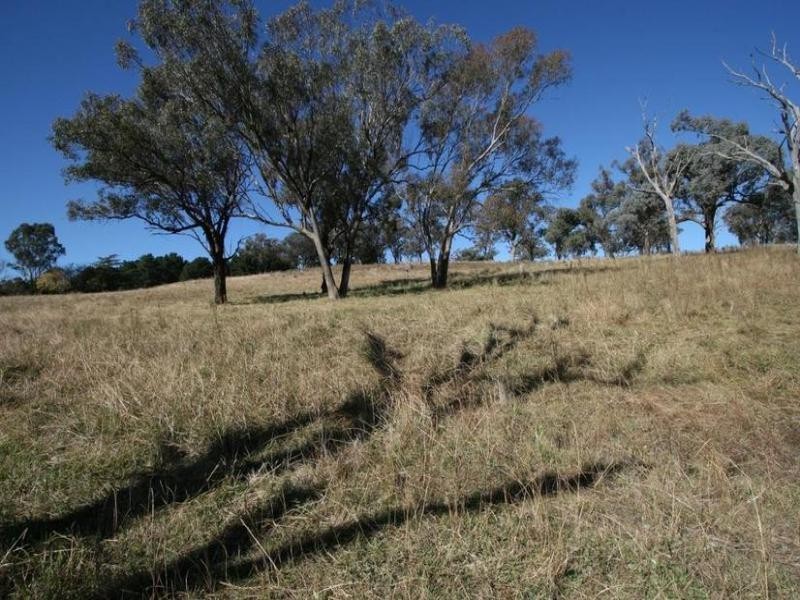 229 Convent Lane, Borenore NSW 2800