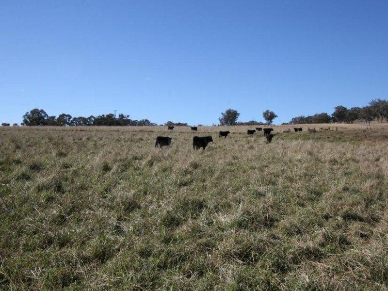 229 Convent Lane, Borenore NSW 2800