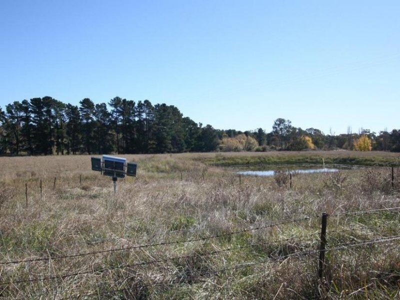 229 Convent Lane, Borenore NSW 2800