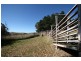 229 Convent Lane, Orange NSW 2800