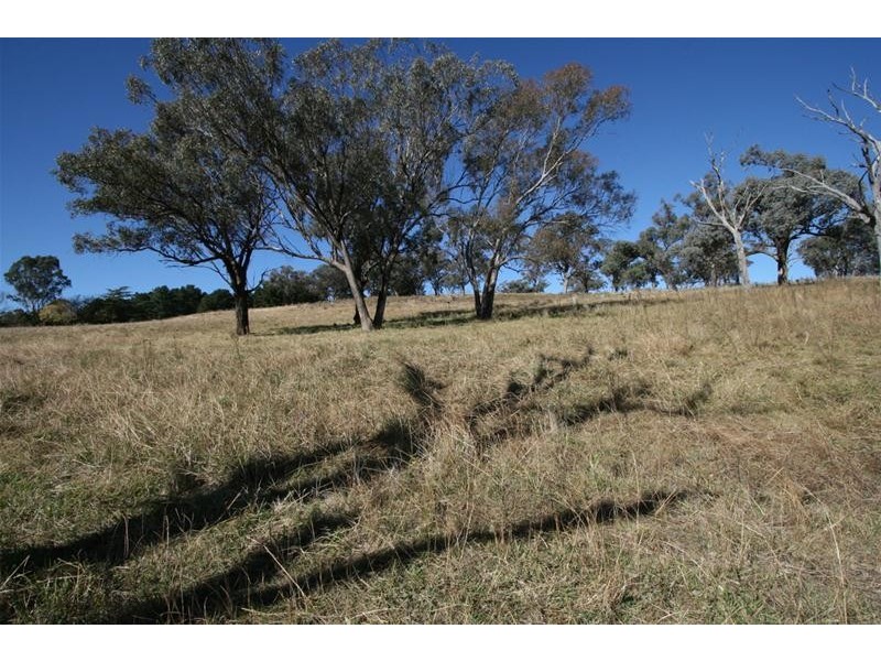 229 Convent Lane, Orange NSW 2800