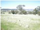 2653 Cargo Road, Orange NSW 2800