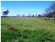 8 Showground Lane, Cudal NSW 2864