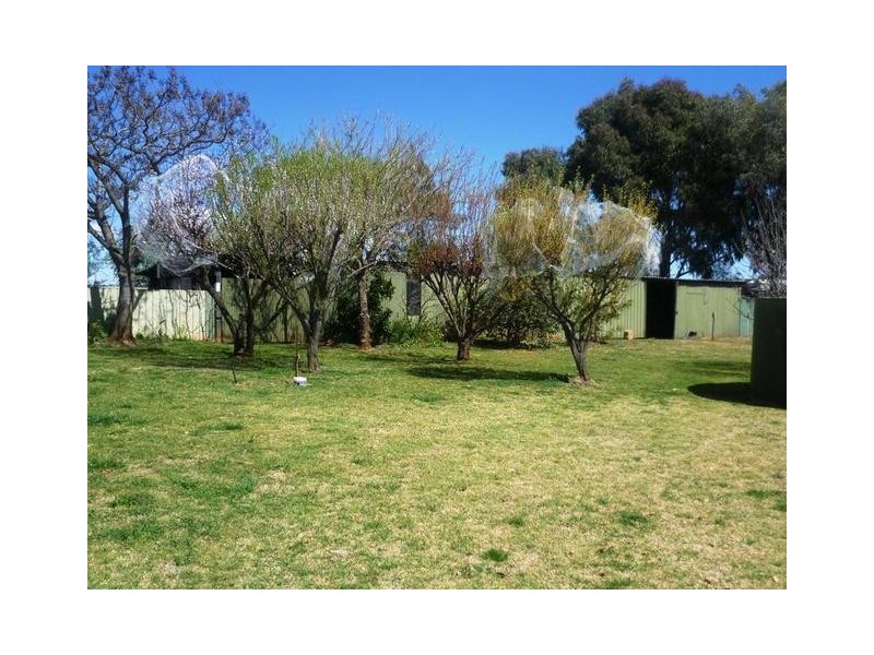 8 Showground Lane, Molong NSW 2866