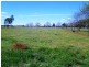 8 Showground Lane, Molong NSW 2866