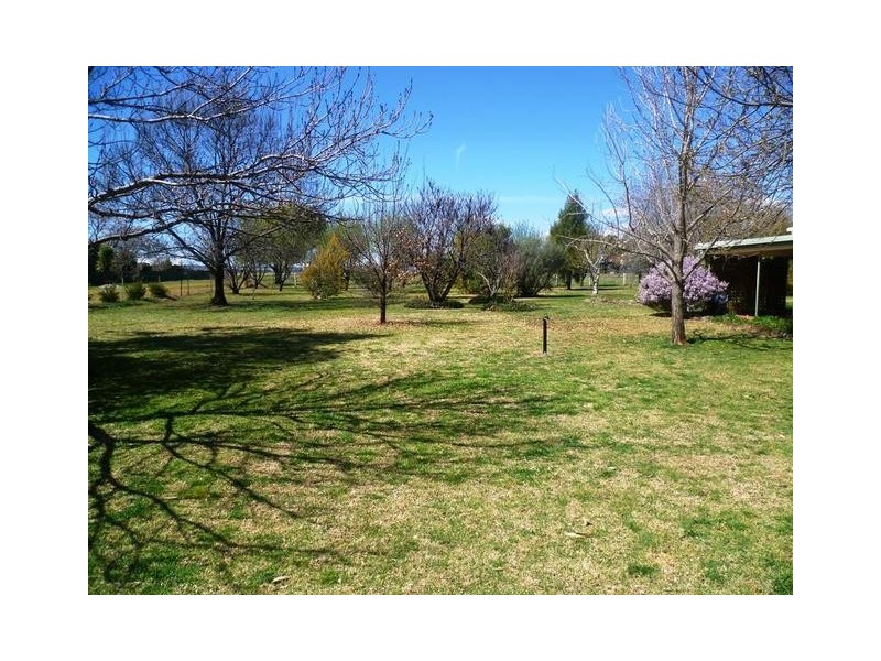 8 Showground Lane, Molong NSW 2866