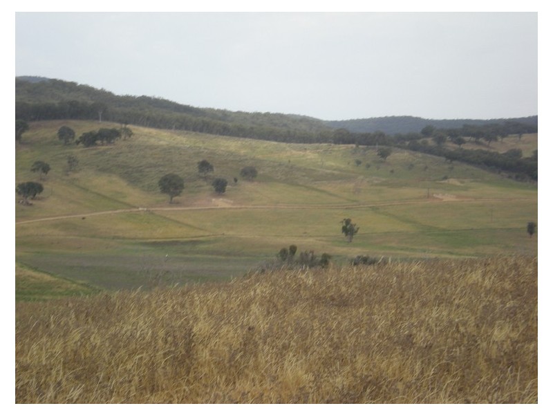 920 Lewis Ponds Road, Orange NSW 2800