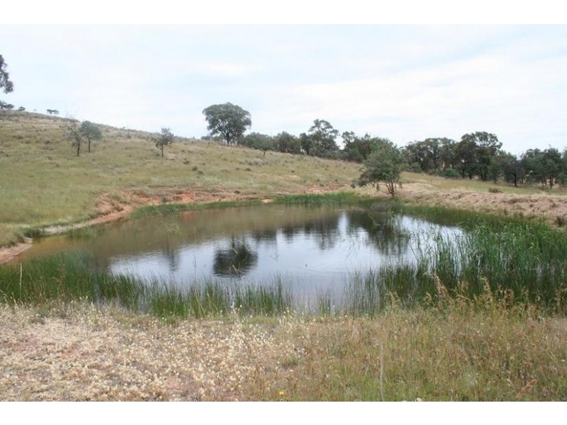 920 Lewis Ponds Road, Orange NSW 2800