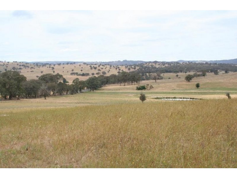 920 Lewis Ponds Road, Orange NSW 2800