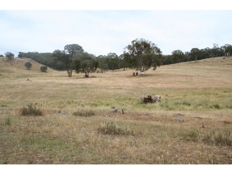 920 Lewis Ponds Road, Orange NSW 2800