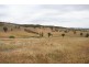 920 Lewis Ponds Road, Orange NSW 2800
