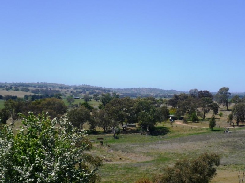 1 Mc Ardle Street, Molong NSW 2866