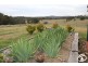 2496 Burrendong Way, Orange NSW 2800