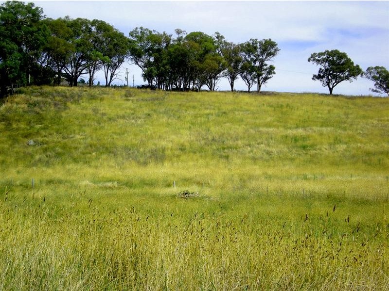 Lot/102 Madelines Lane, Orange NSW 2800