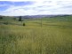 Lot/102 Madelines Lane, Orange NSW 2800